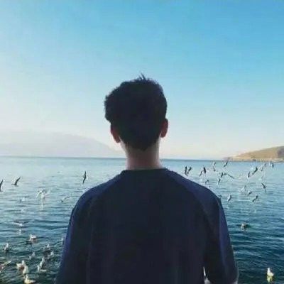 星尘花海海报
