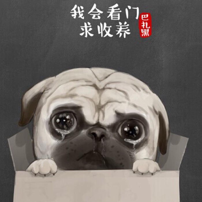 简单♬缘海报