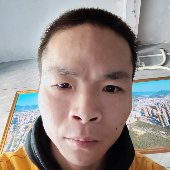 来自雷克雅未克的大鼠海报