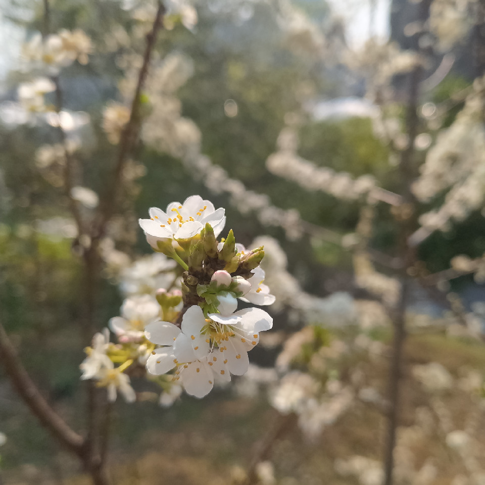 你说，下雨后...海报