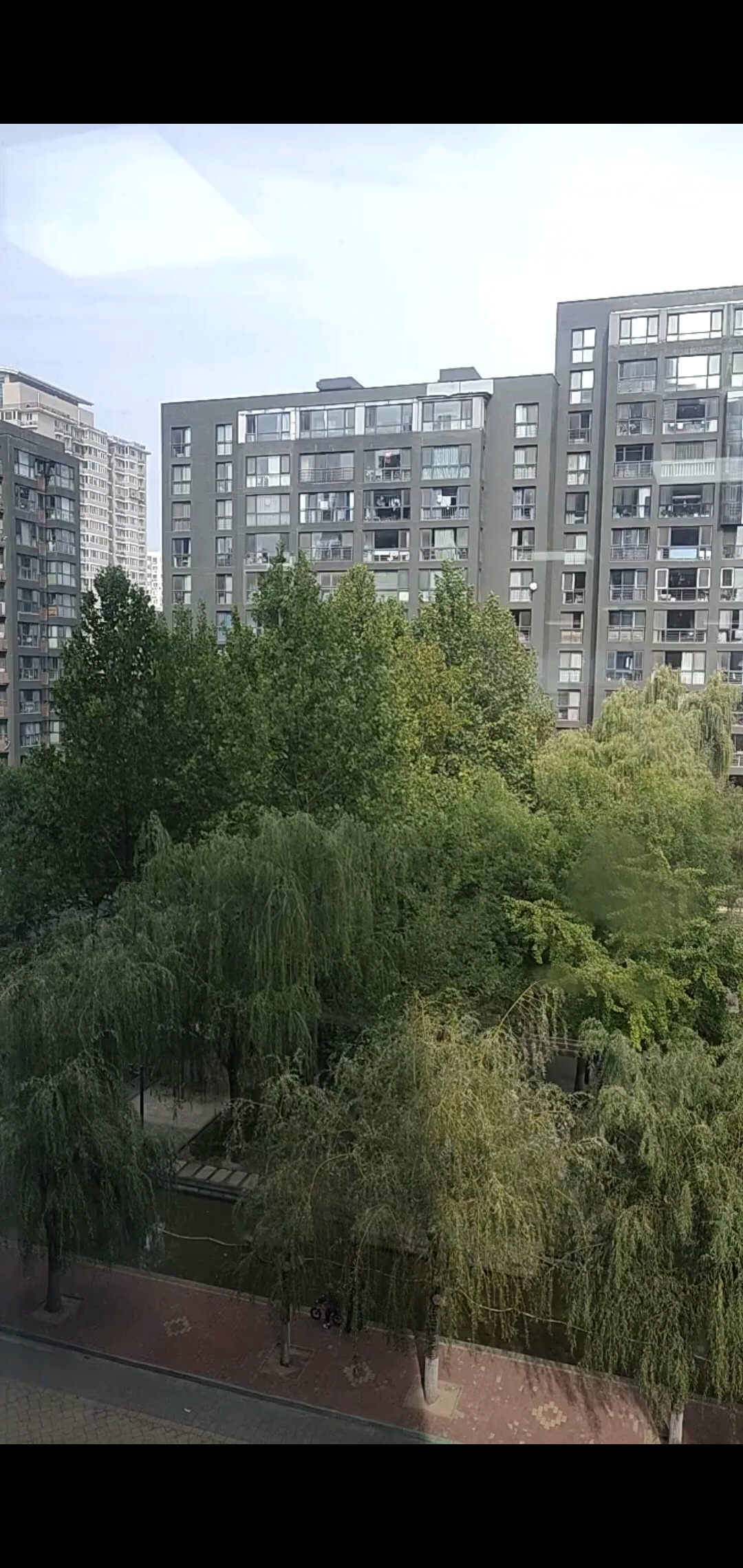 满船清梦压星河0222