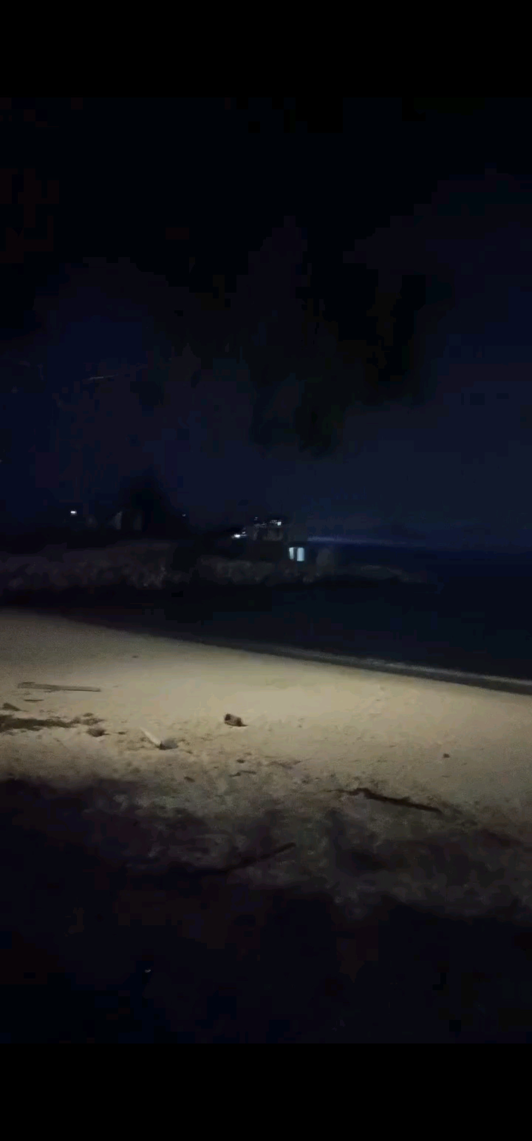 海边的夜景真好