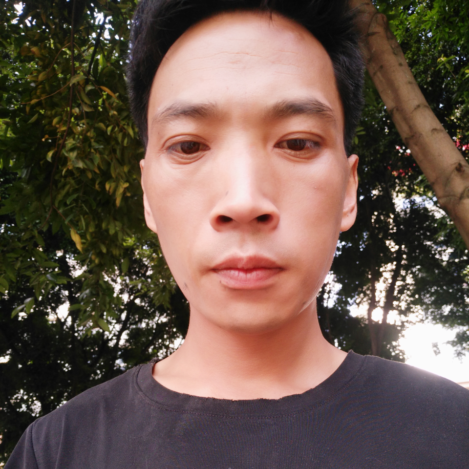 自驾游的峨眉龙海报