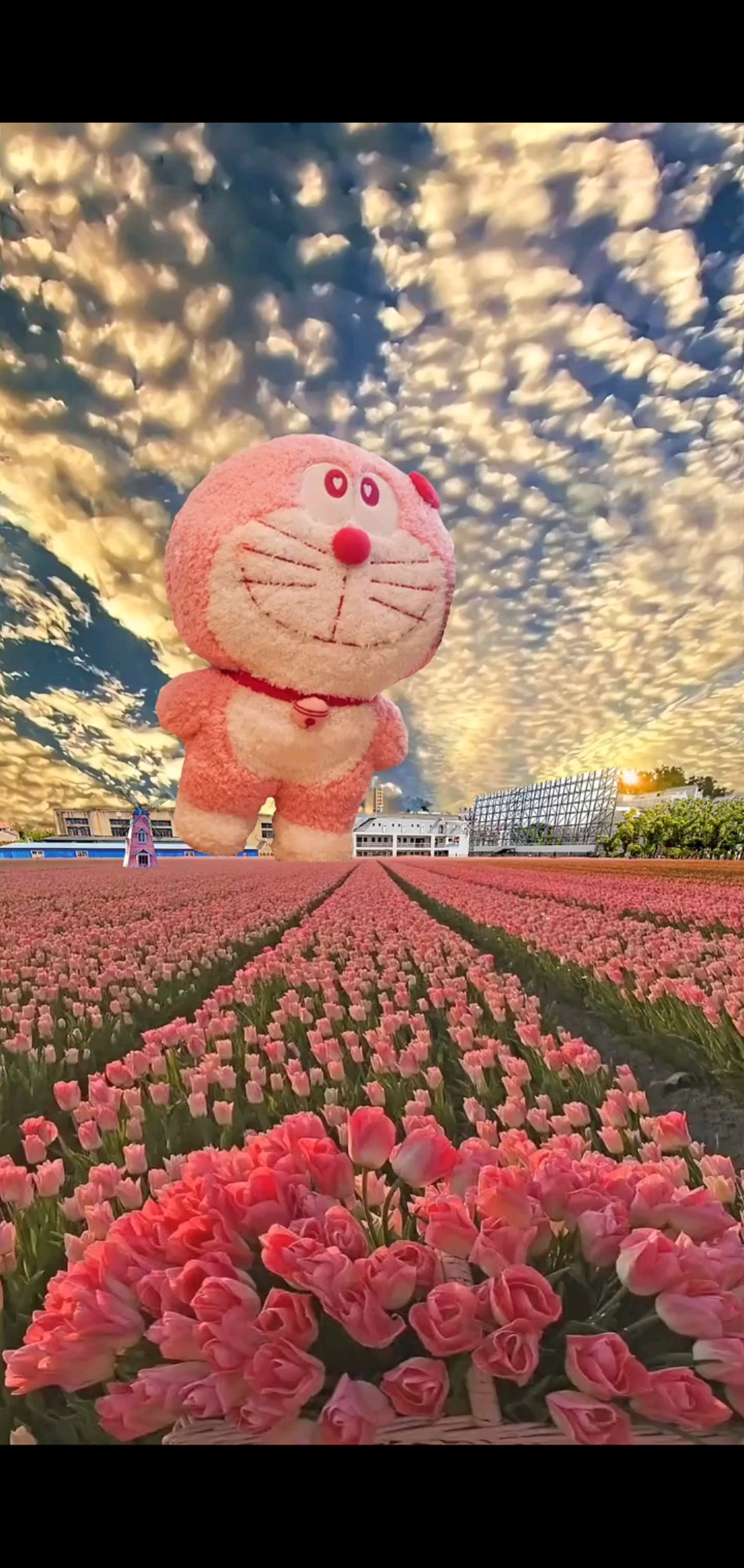 我向月亮许愿祝你平安