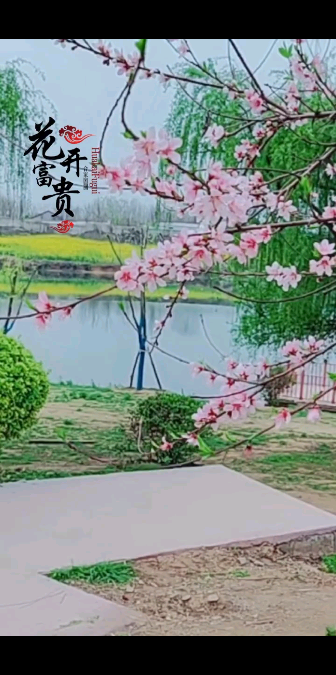 早安🌹🌺生活要尽心，