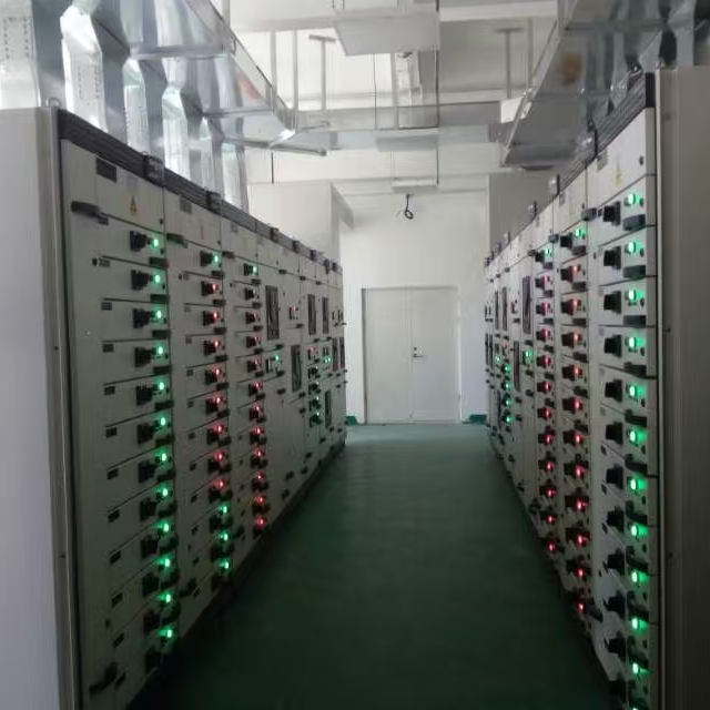 惜妍惜明天L海报