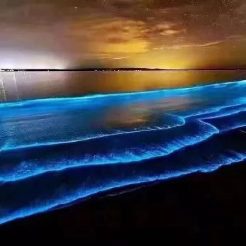 小利利x海报