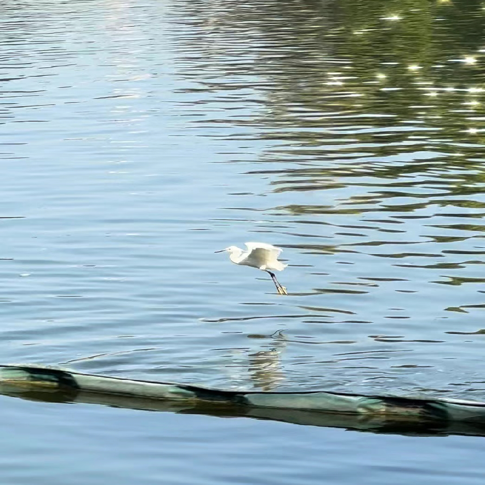 找木有海报