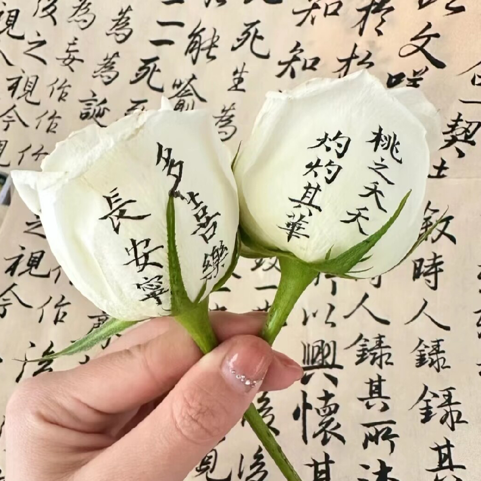 ☀柒柒海报