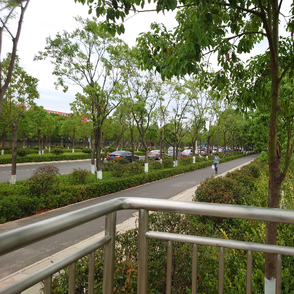 冰冰g哥海报