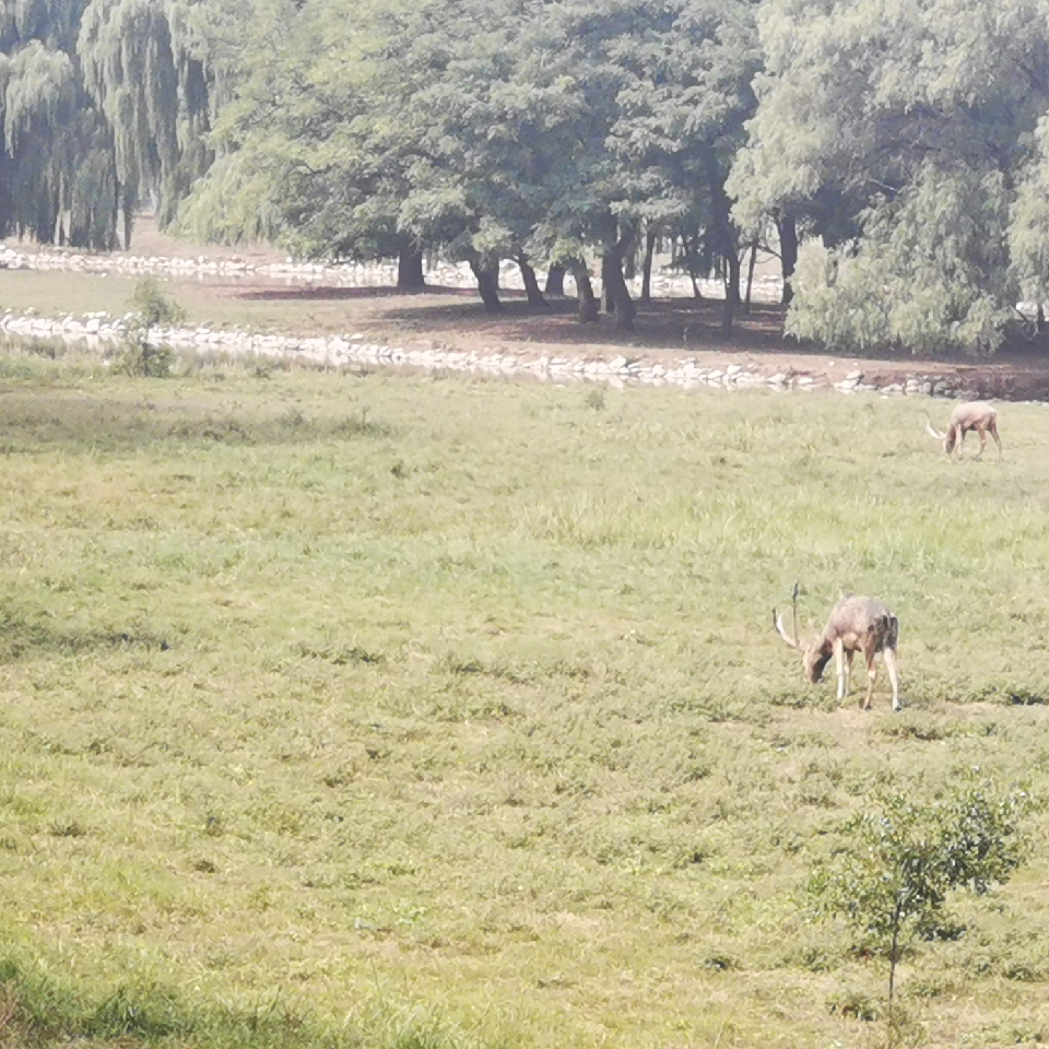 宝贝小晓海报