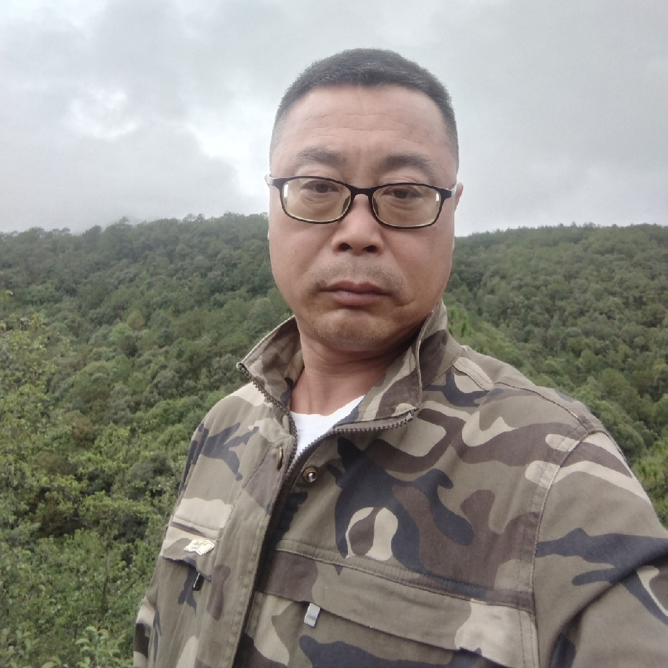 玩网络游戏的接吻鱼海报
