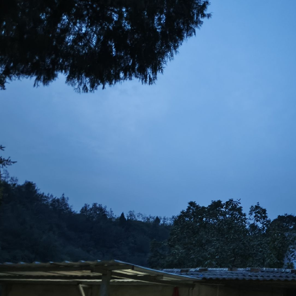 就四叔海报