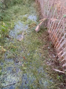 全能戶外正式起航，小