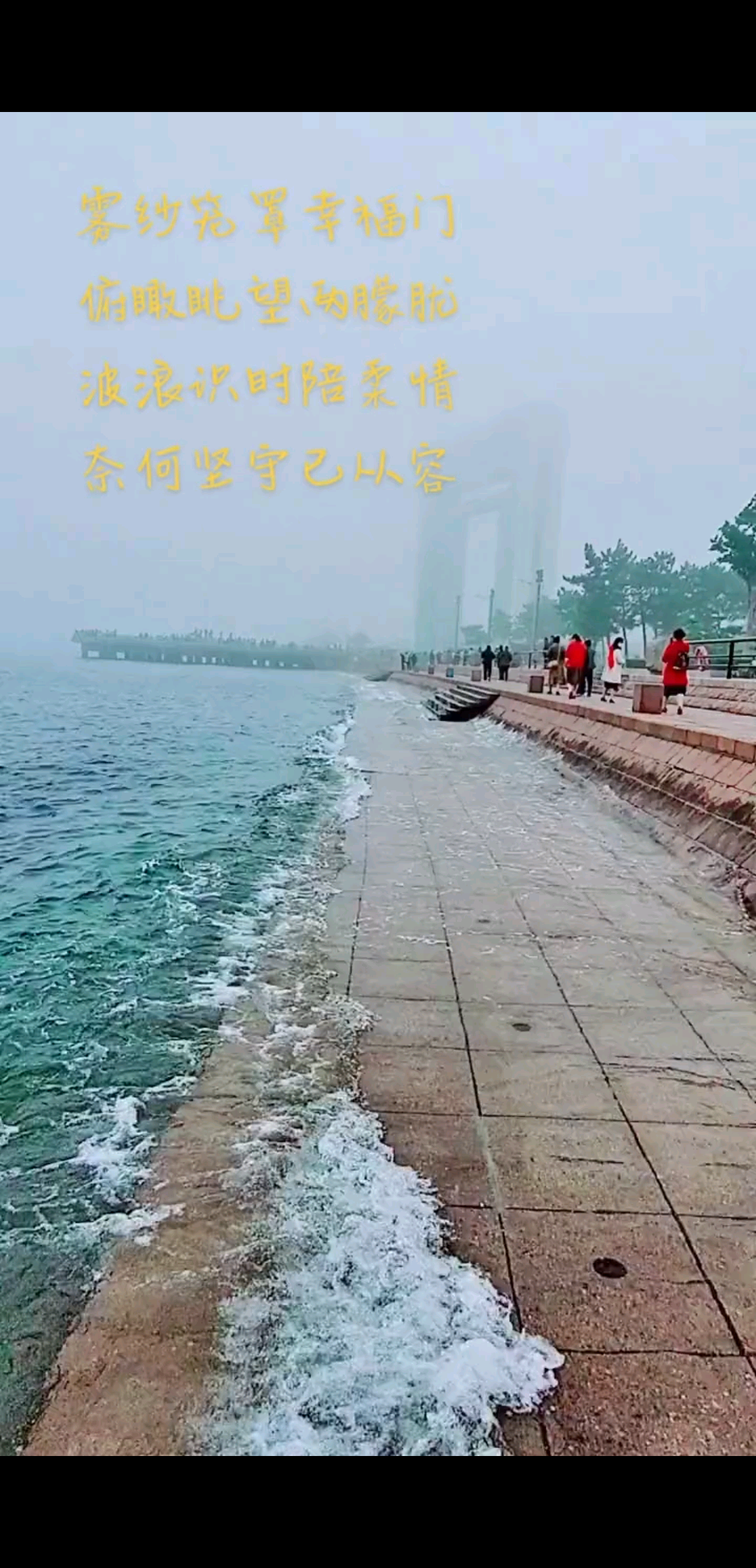 诗与远方是否在夏天的海边