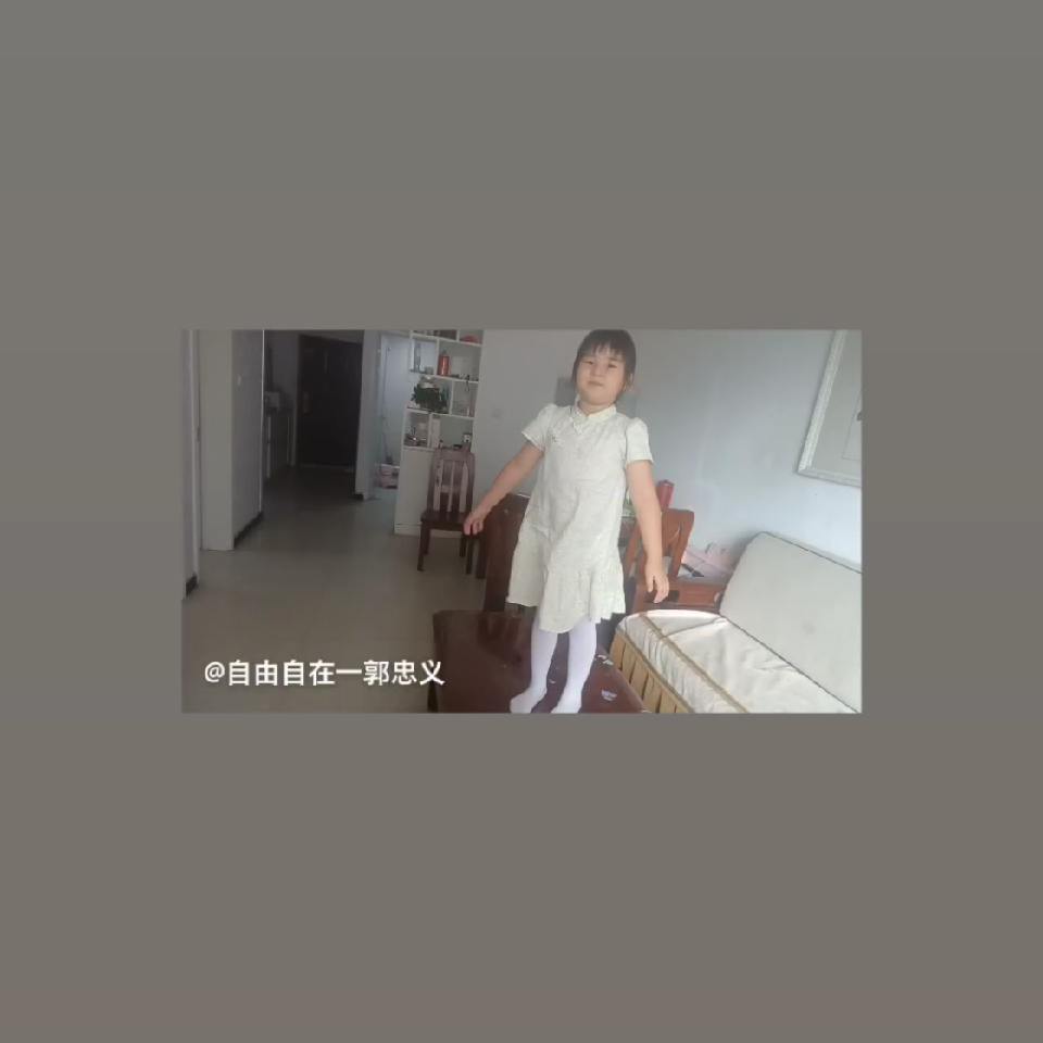 养鱼的剑齿虎海报