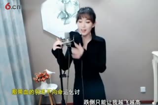 林中鸟-鸽子
