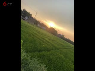 20250624124902722