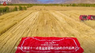 天猫双十一点亮全球地标 自然堂创新玩法构建“现象级”公益营销