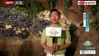 世界地球日主题宣传活动-2