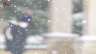 冬韵-12