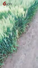 房间号700000-20210528161109379【手机直播】
