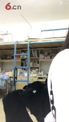 房间号783980-20190928184957390